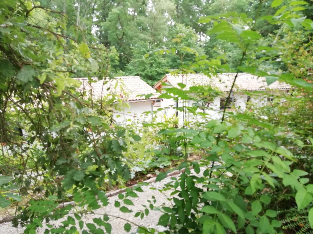 Pause Nature. Maison Ananda A 14 Kms De Toulouse Avec Parking Privatif Lapeyrouse-Fossat Exterior foto